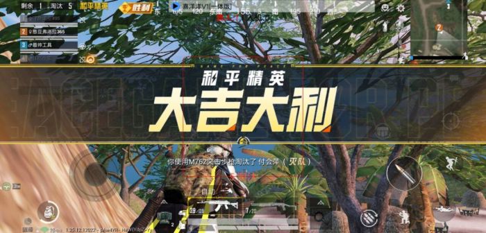 和平精英开挂直装 - 免root免配置极速开挂